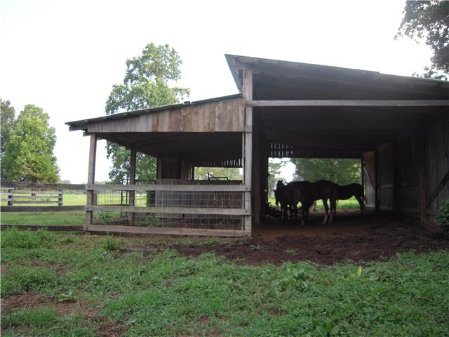 0 Williams Road Westmoreland, TN 37186 - Photo 13 of 19 Gallery Image 13