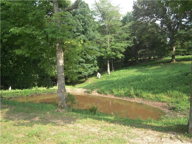 0 Williams Road Westmoreland, TN 37186 - Photo 17 of 19 Gallery Image 17