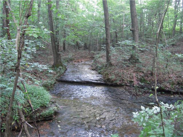 0 Williams Road Westmoreland, TN 37186 - Photo 19 of 19 Gallery Image 19