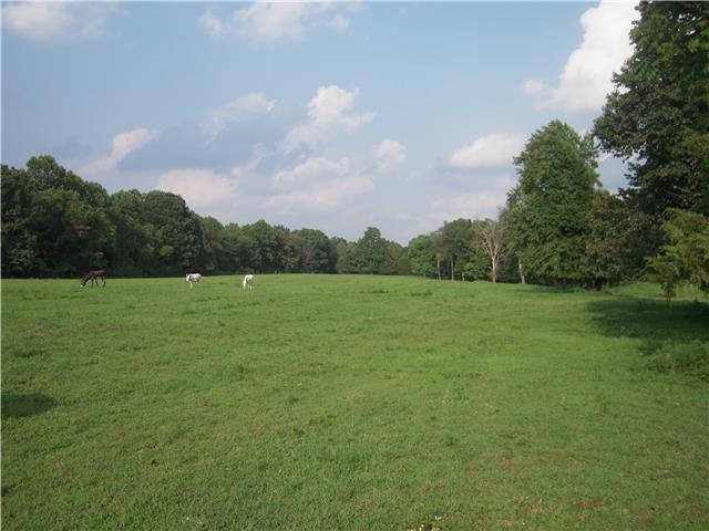 0 Williams Road Westmoreland, TN 37186 - Photo 8 of 19 Gallery Image 8