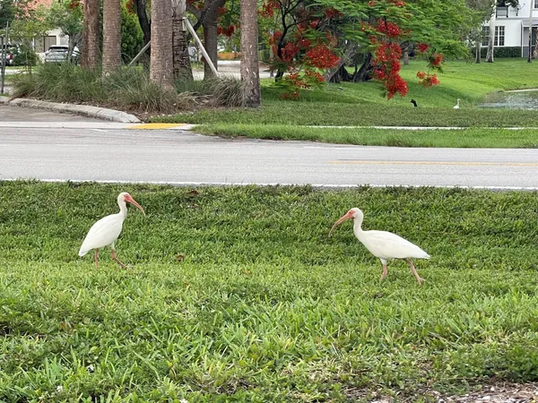 $21 | 757 Shotgun Road, Unit 757, Sunrise, FL 33326