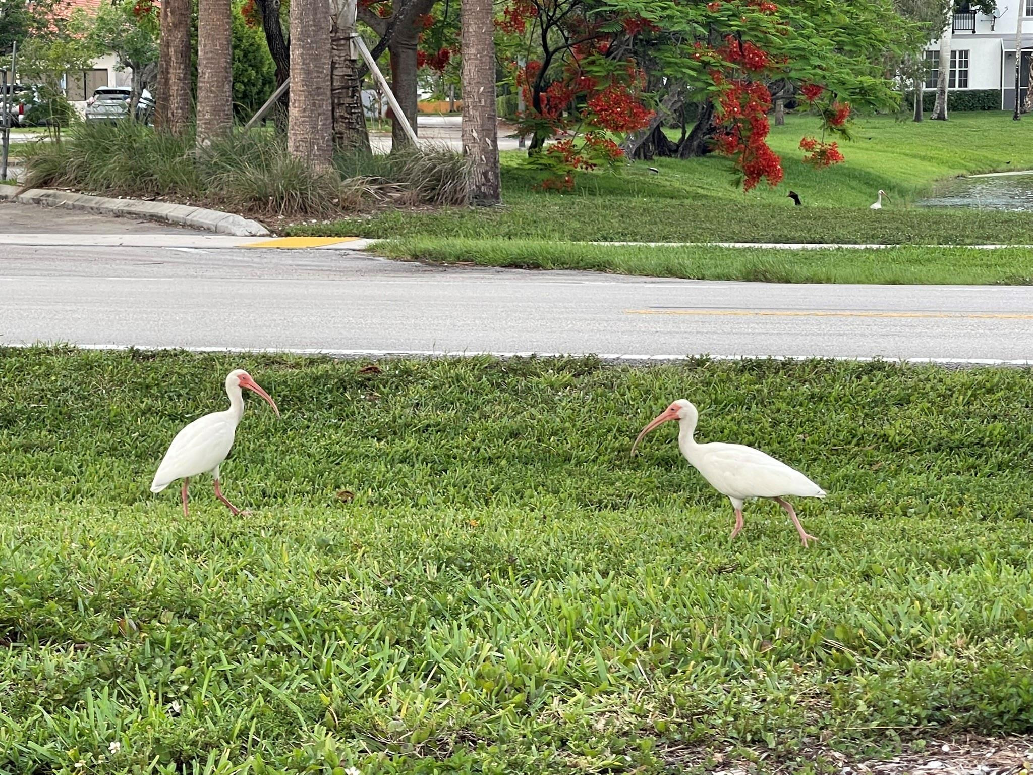 757 Shotgun Road, Unit 757 Sunrise, FL 33326 - Photo 60 of 60 Photo 60