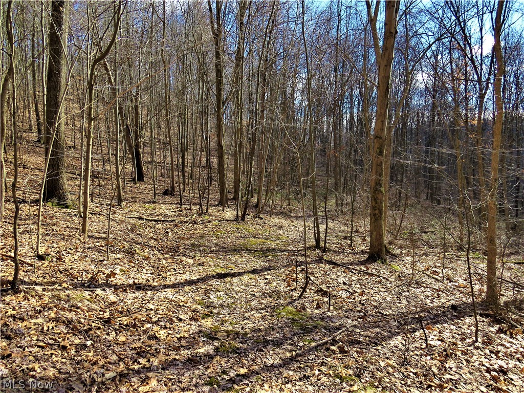 115 Poker Road Southeast Scio, OH 43988 - Photo 18 of 25 Gallery Image 18