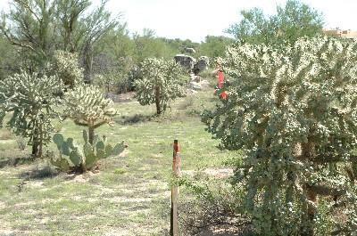 461 East Sun Spring Place Tucson, AZ 85755 - Photo 9 of 10