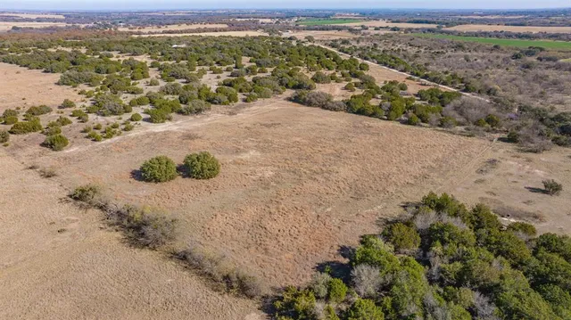 a view of a dry field with trees in the background