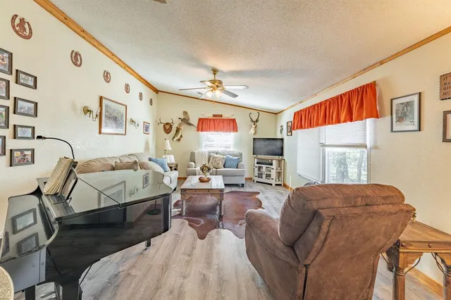 a living room with a bed furniture and a window