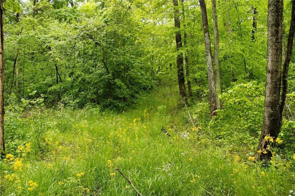 0 Fowler Road Bloomfield, IN 47424 - Photo 12 of 41 Gallery Image 12