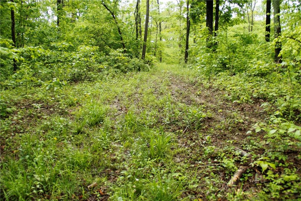 0 Fowler Road Bloomfield, IN 47424 - Photo 18 of 41 Gallery Image 18