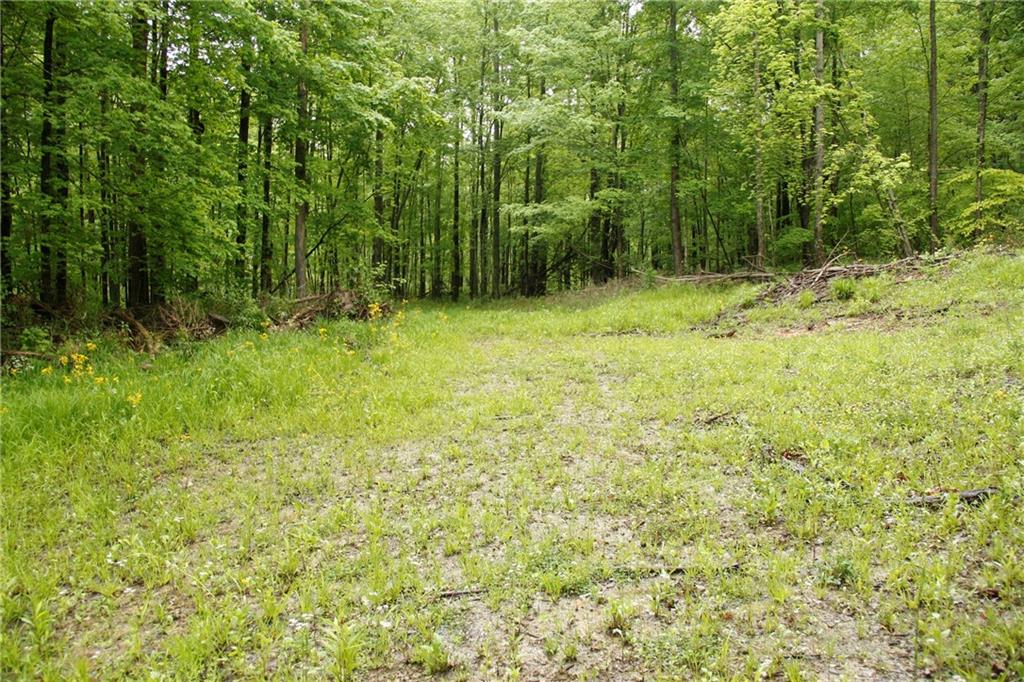 0 Fowler Road Bloomfield, IN 47424 - Photo 5 of 41 Gallery Image 5