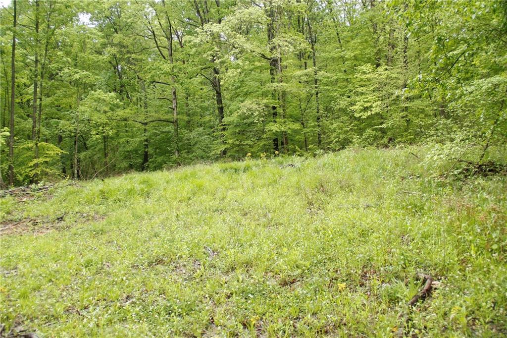 0 Fowler Road Bloomfield, IN 47424 - Photo 6 of 41 Gallery Image 6