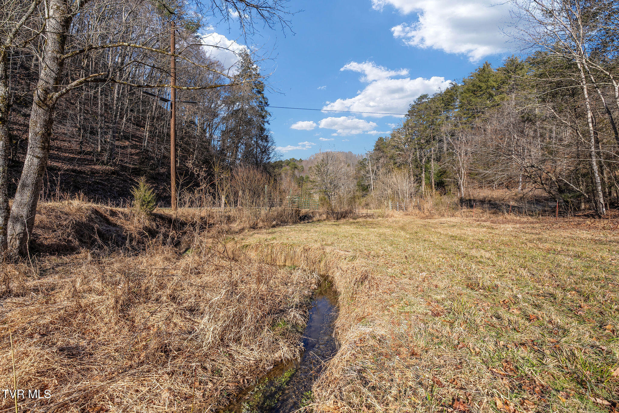 Tbd Cripple Creek Road Watauga, TN 37694 - Photo 17 of 46 DSC08493