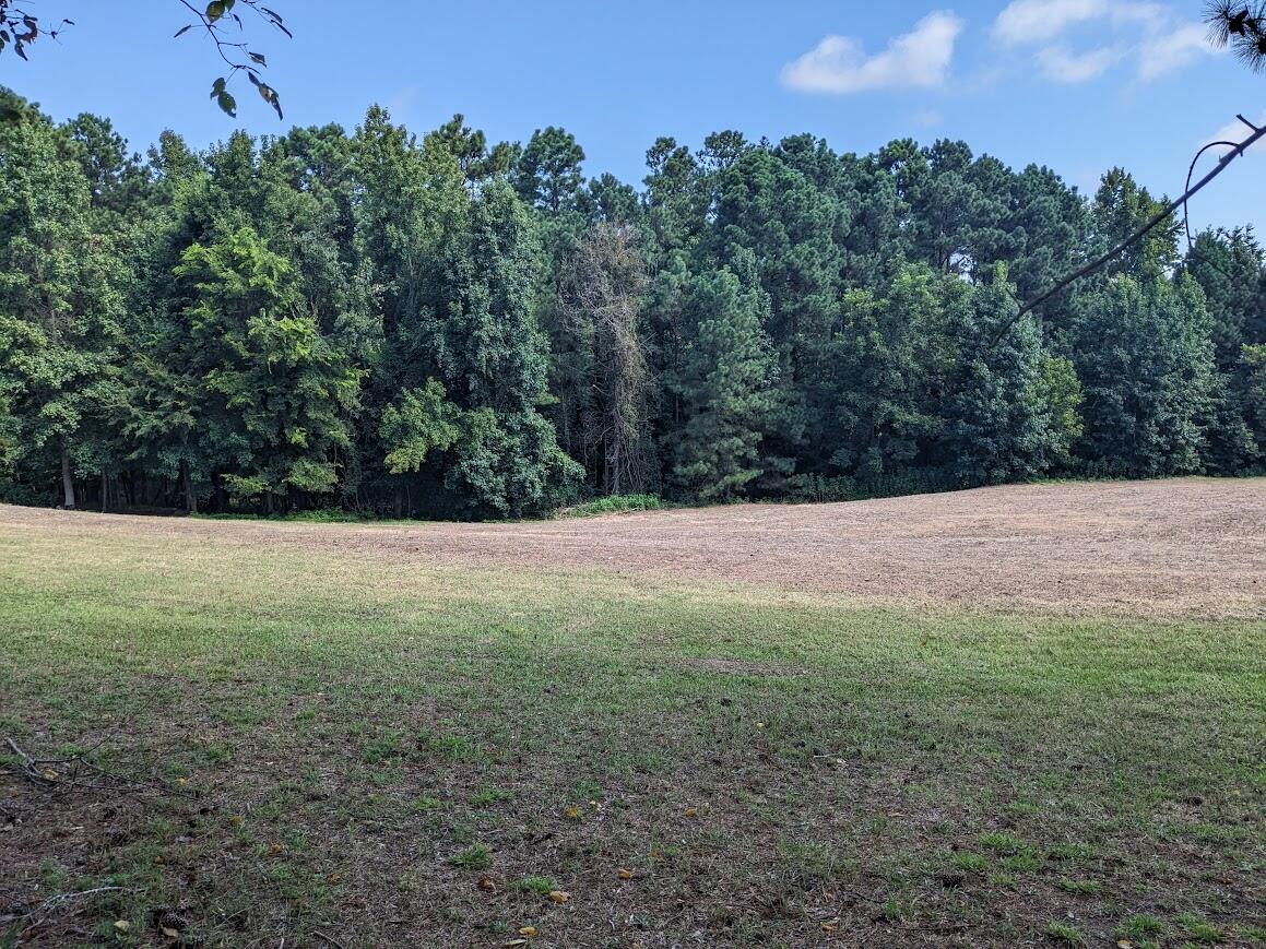 6615 Ridge Road Appling, GA 30802 - Photo 3 of 14 PXL_20240812_150935798.MP