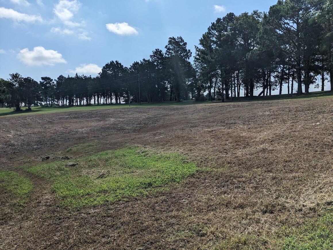 6615 Ridge Road Appling, GA 30802 - Photo 4 of 14 PXL_20240812_151101987.MP