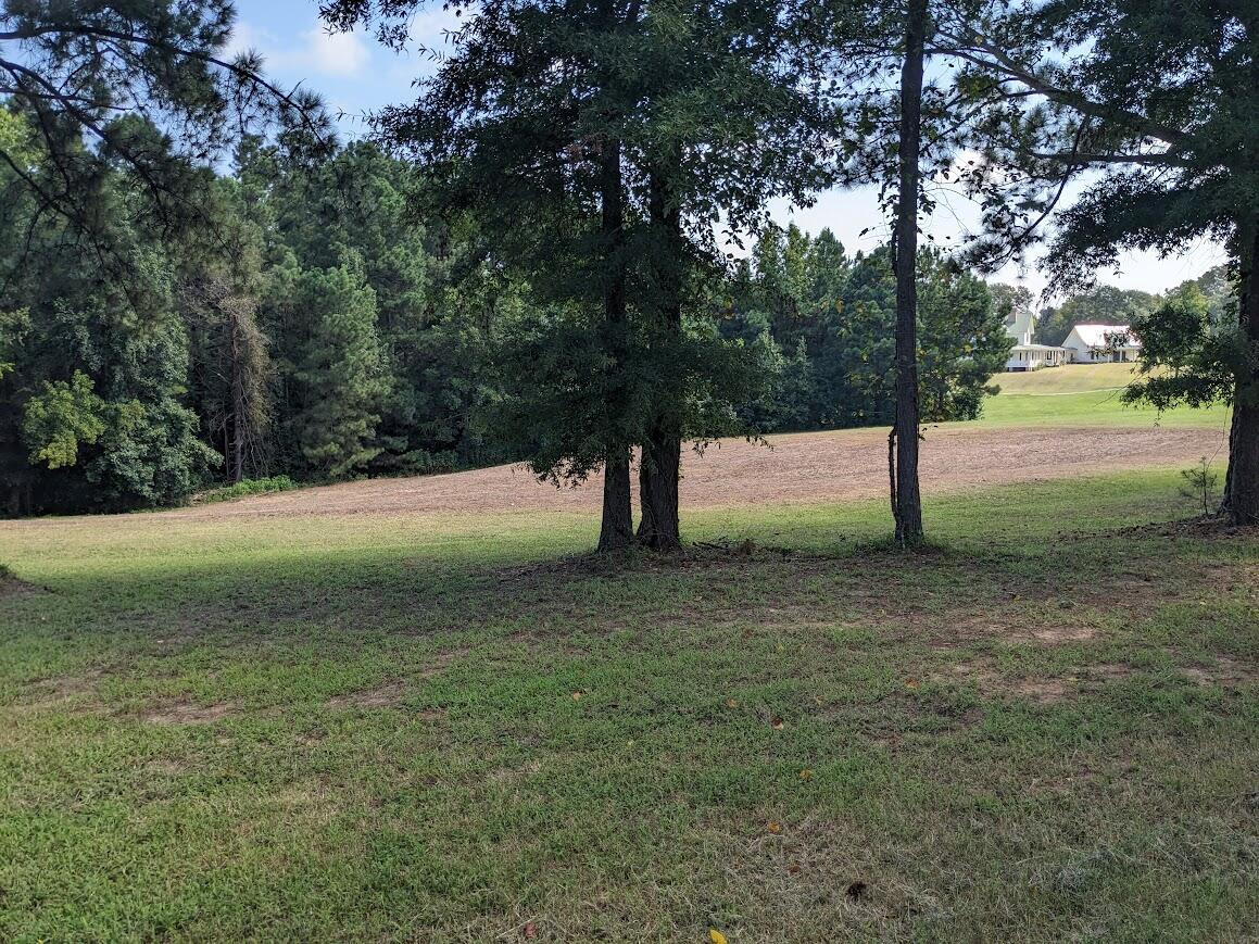 6615 Ridge Road Appling, GA 30802 - Photo 8 of 14 PXL_20240812_150911131.MP