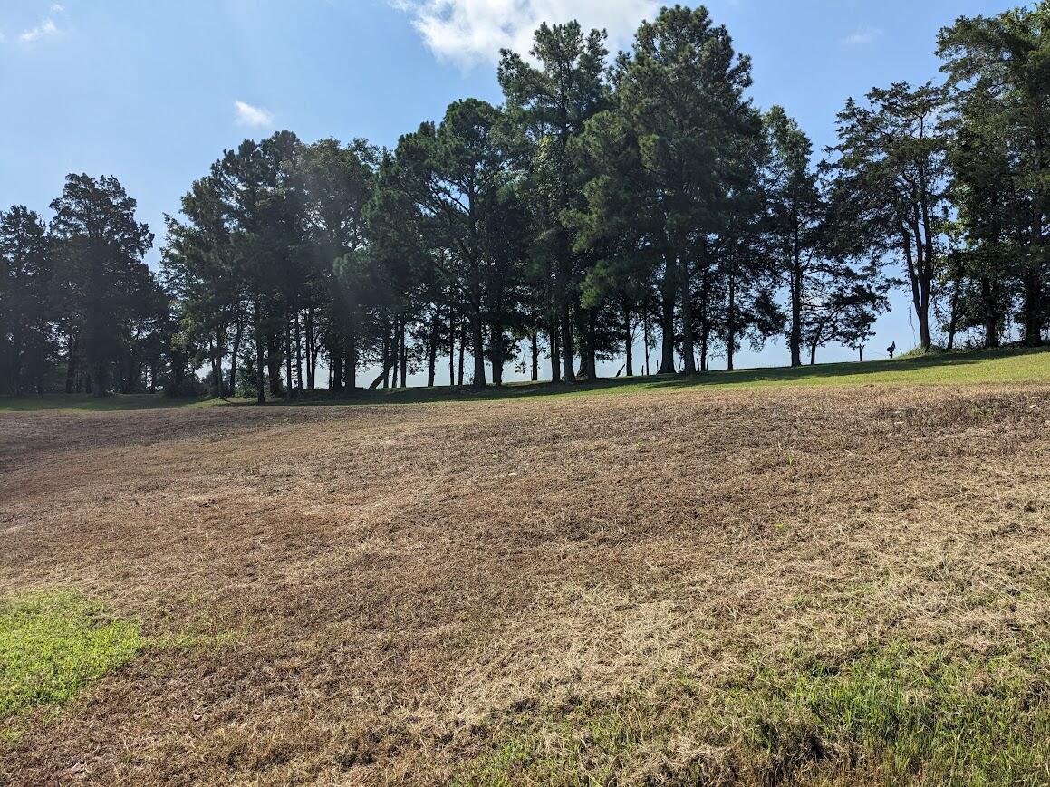 6615 Ridge Road Appling, GA 30802 - Photo 9 of 14 PXL_20240812_151107063.MP