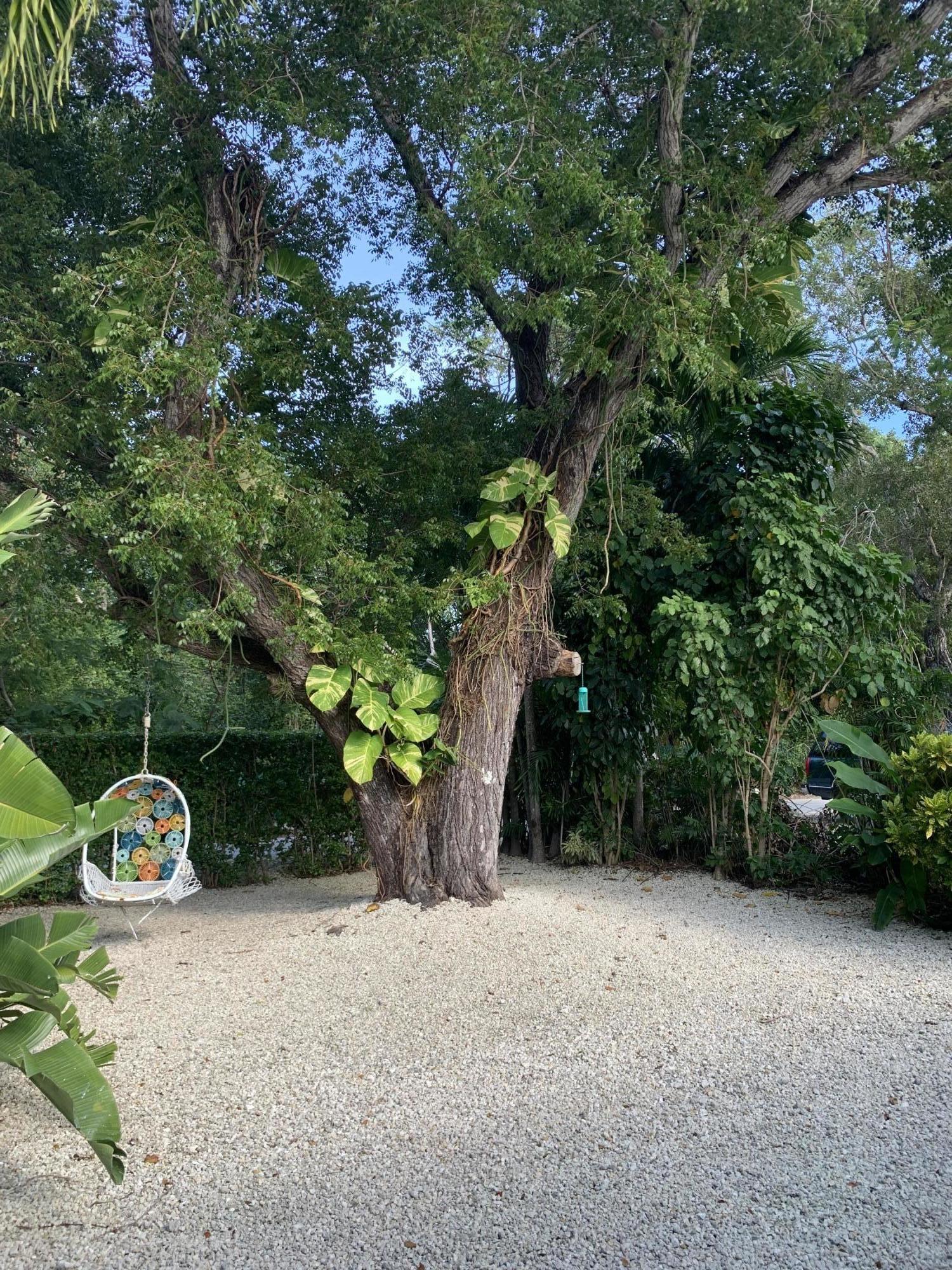 120 Key Honey Road Tavernier, FL 33070 - Photo 3 of 28 Native Landscaping