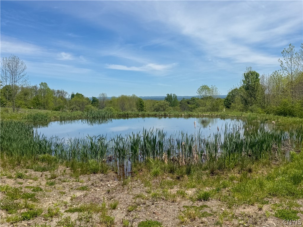 6275 Isenecker Road Boonville, NY 13309 - Photo 3 of 7