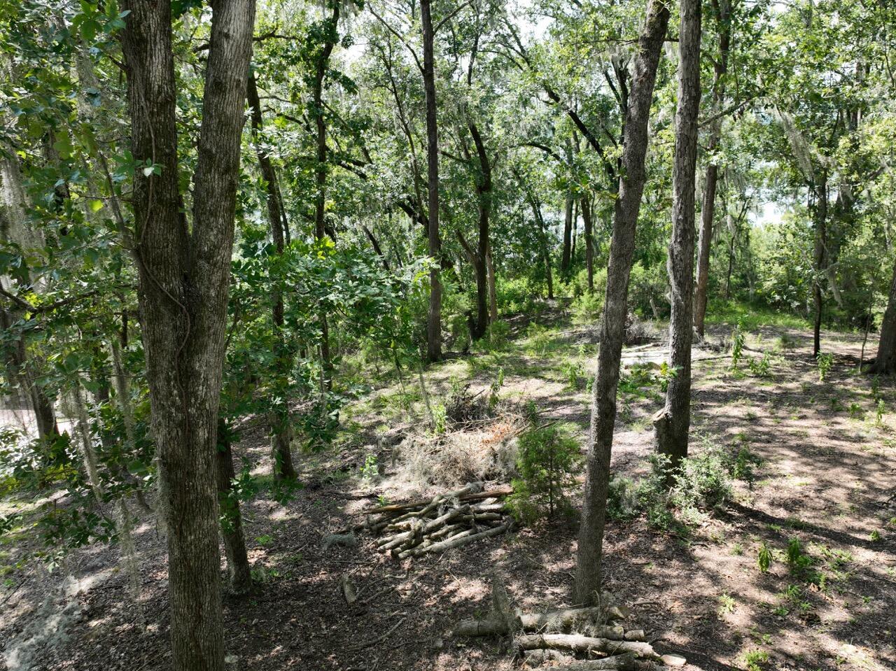 359 Osprey Point North Augusta, SC 29841 - Photo 3 of 15 15