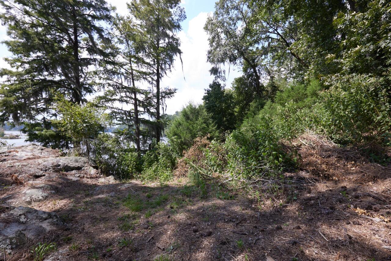 359 Osprey Point North Augusta, SC 29841 - Photo 8 of 15 10