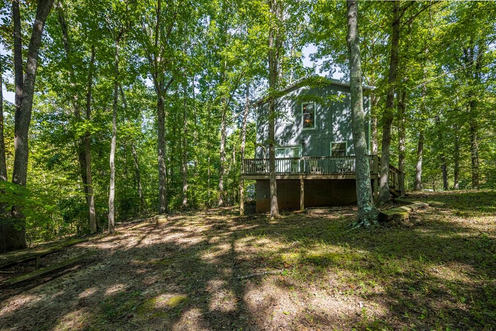 14 Riverview Avenue Buffalo Junction, VA 24529 - Photo 40 of 53 a view of a backyard with large trees