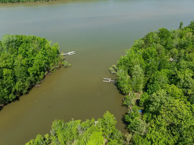 a view of a lush green field