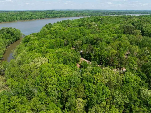 a view of a forest with a house