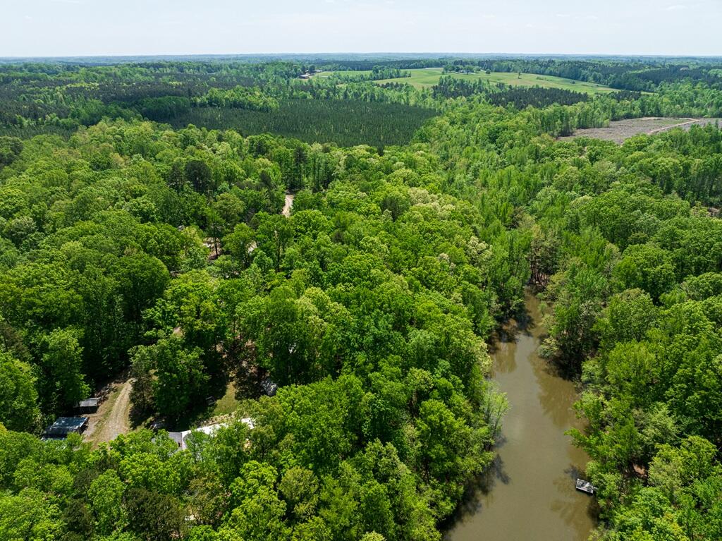 14 Riverview Avenue Buffalo Junction, VA 24529 - Photo 49 of 53 a view of a forest with a house