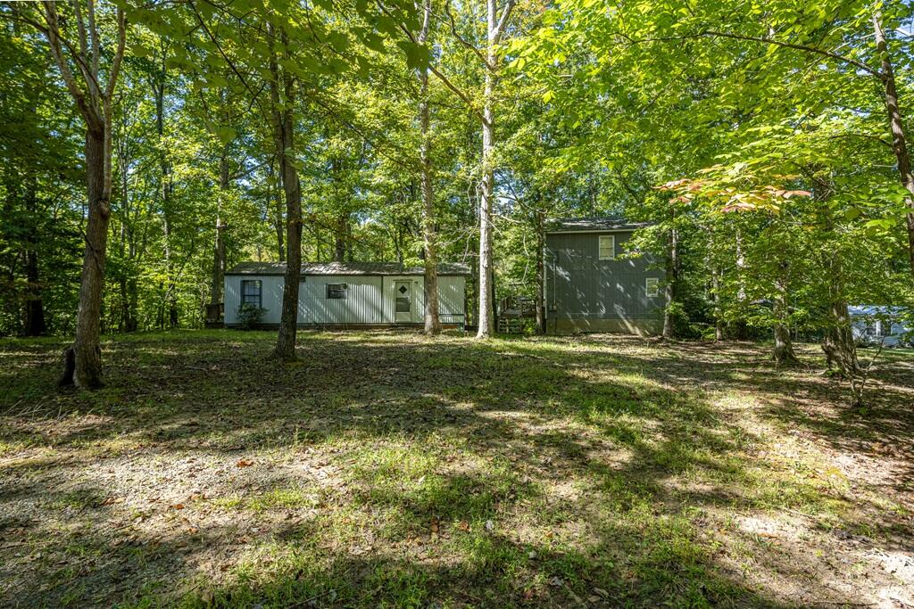14 Riverview Avenue Buffalo Junction, VA 24529 - Photo 53 of 53 a backyard of a house with lots of plants and large tree