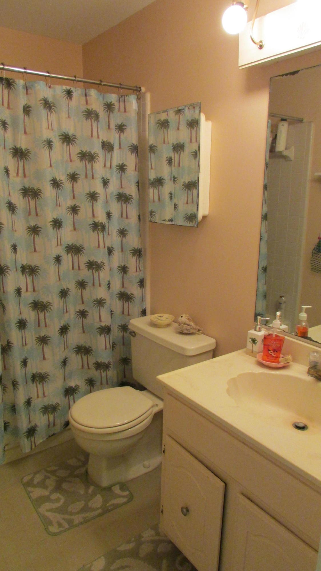 2543 Inisbrook Road Riviera Beach, FL 33407 - Photo 7 of 29 Bathroom