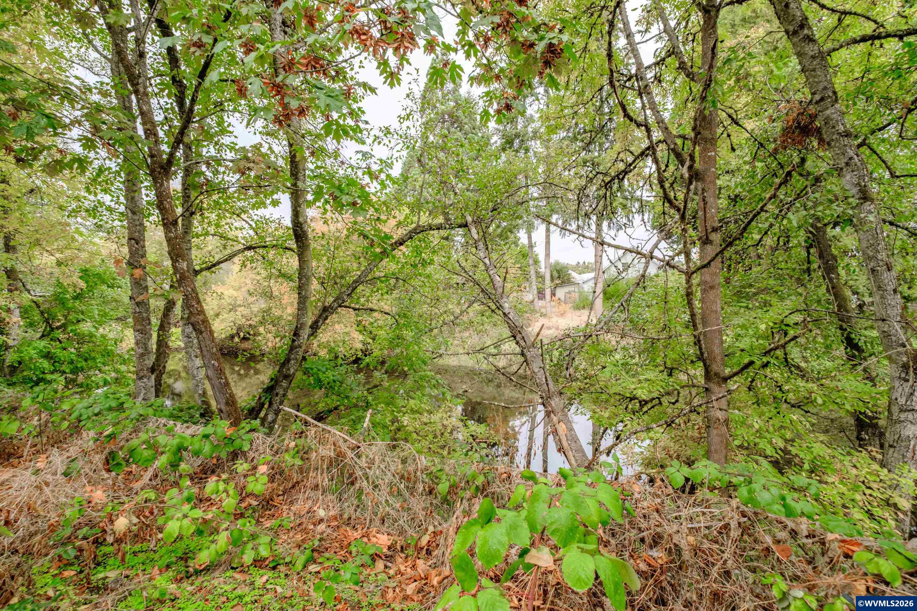 Lot 030100 Southwest Beech Street Scio, OR 97374 - Photo 40 of 41
