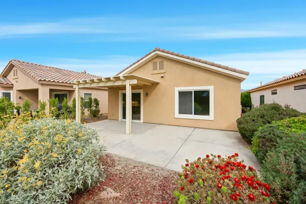 a potted plant sitting in front of a house