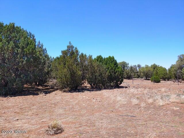 2062 Parker Ranch Road Show Low, AZ 85901 - Photo 20 of 35 Gallery Image 20
