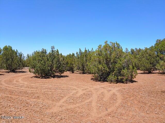 2062 Parker Ranch Road Show Low, AZ 85901 - Photo 21 of 35 Gallery Image 21