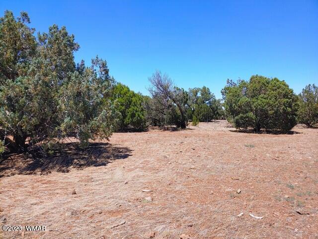 2062 Parker Ranch Road Show Low, AZ 85901 - Photo 22 of 35 Gallery Image 22