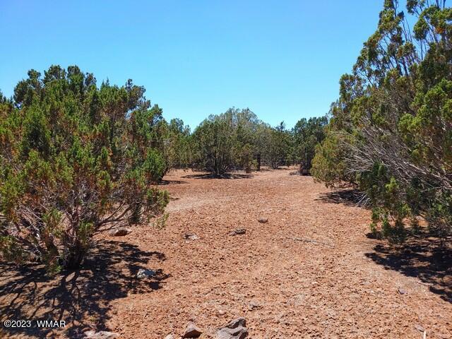 2062 Parker Ranch Road Show Low, AZ 85901 - Photo 23 of 35 Gallery Image 23