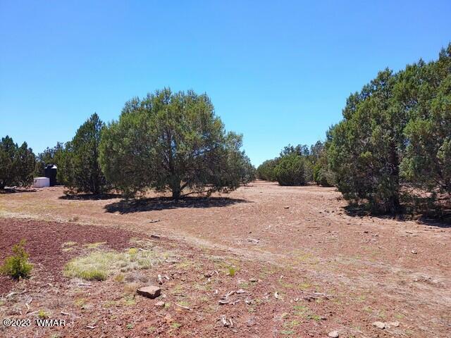 2062 Parker Ranch Road Show Low, AZ 85901 - Photo 25 of 35 Gallery Image 25