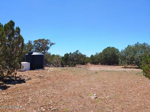 2062 Parker Ranch Road Show Low, AZ 85901 - Photo 26 of 35 Gallery Image 26