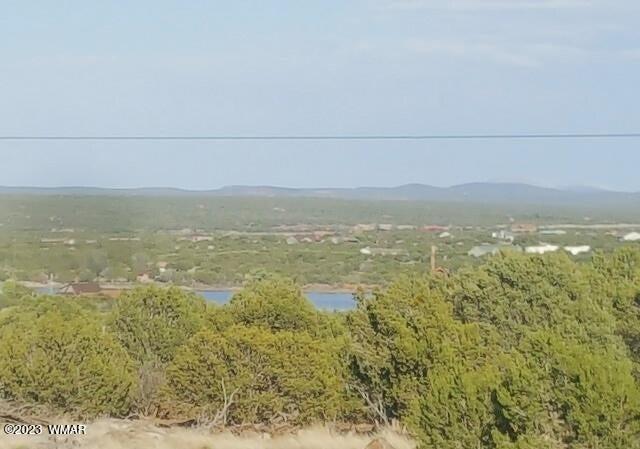 2062 Parker Ranch Road Show Low, AZ 85901 - Photo 31 of 35 Gallery Image 31