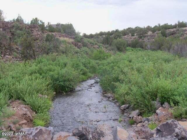 2062 Parker Ranch Road Show Low, AZ 85901 - Photo 35 of 35 Gallery Image 35