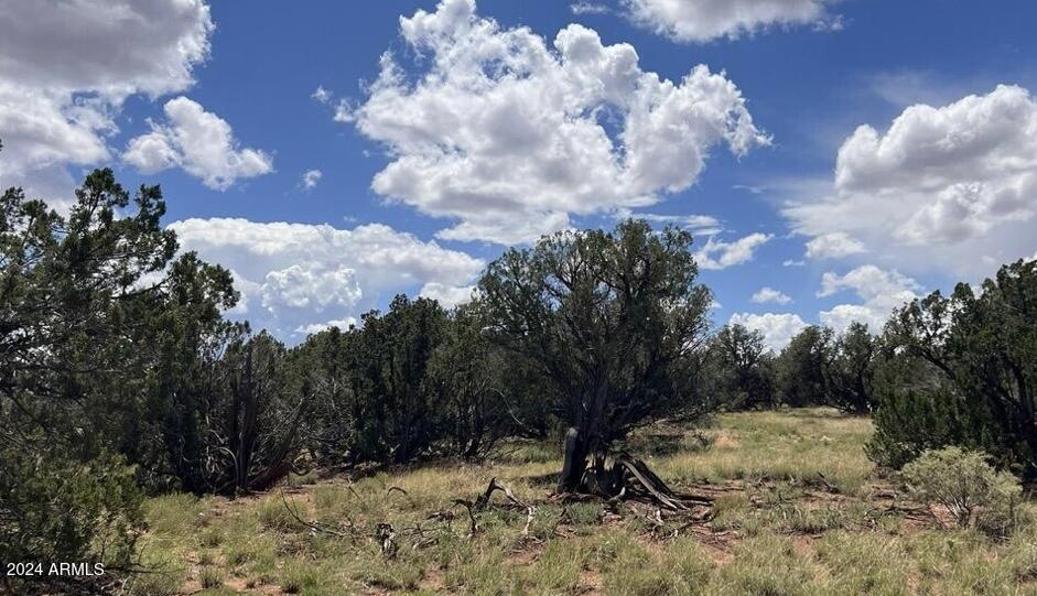 4062 Apache Road, Unit 593 AND 594 Snowflake, AZ 85937 - Photo 2 of 4 IMG_3506