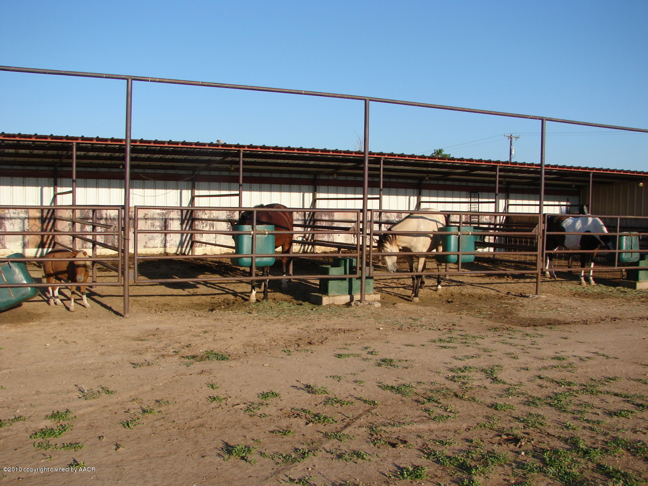 931 West Nance Road Canyon, TX 79015 - Photo 12 of 15 From Paddock