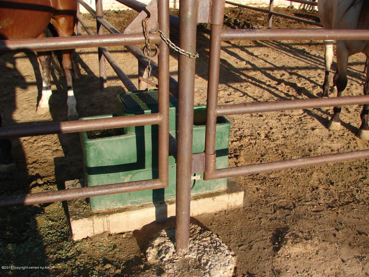 931 West Nance Road Canyon, TX 79015 - Photo 13 of 15 Automatic Waterers