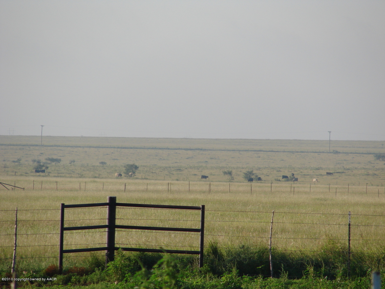 931 West Nance Road Canyon, TX 79015 - Photo 14 of 15 Wide open views to the South