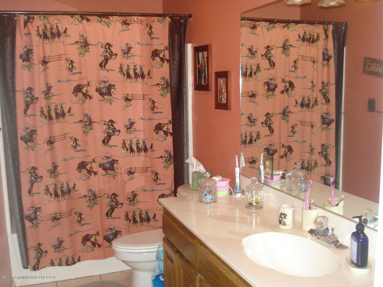931 West Nance Road Canyon, TX 79015 - Photo 9 of 15 2nd Bath