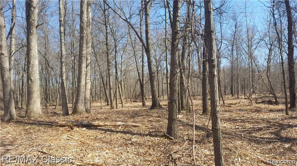 40 Ripple Way White Lake, MI 48383 - Photo 2 of 12