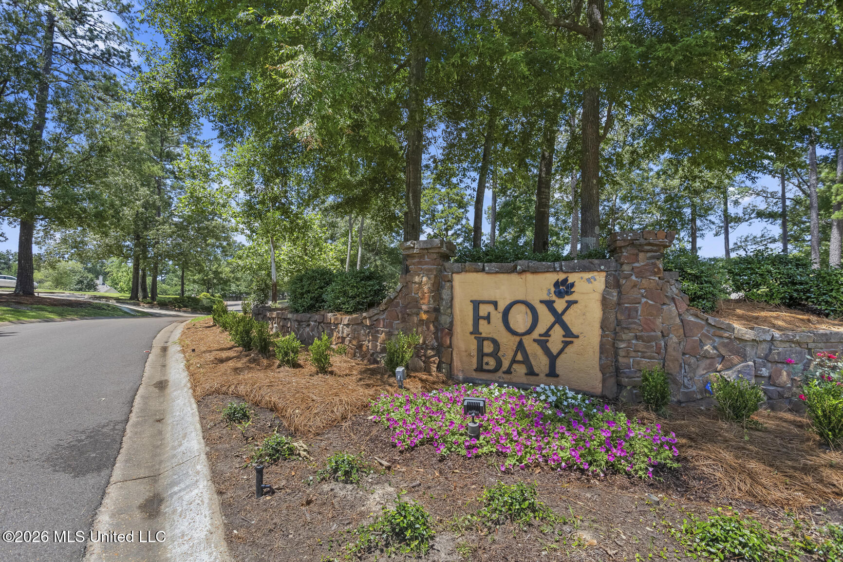 525 Ridge Circle Brandon, MS 39047 - Photo 50 of 51 525 Ridge Cir_jhookphotos-47