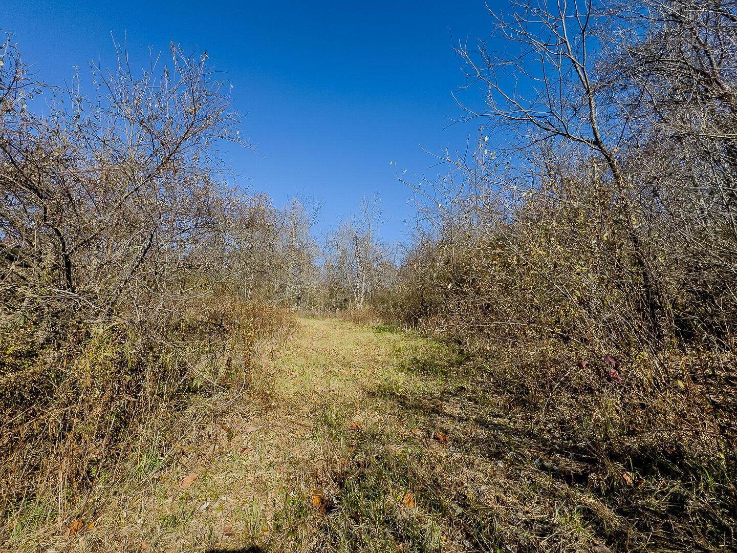 9615 Rural Dale Road Blue Rock, OH 43720 - Photo 62 of 83 9615 Rural Dale Rd-62