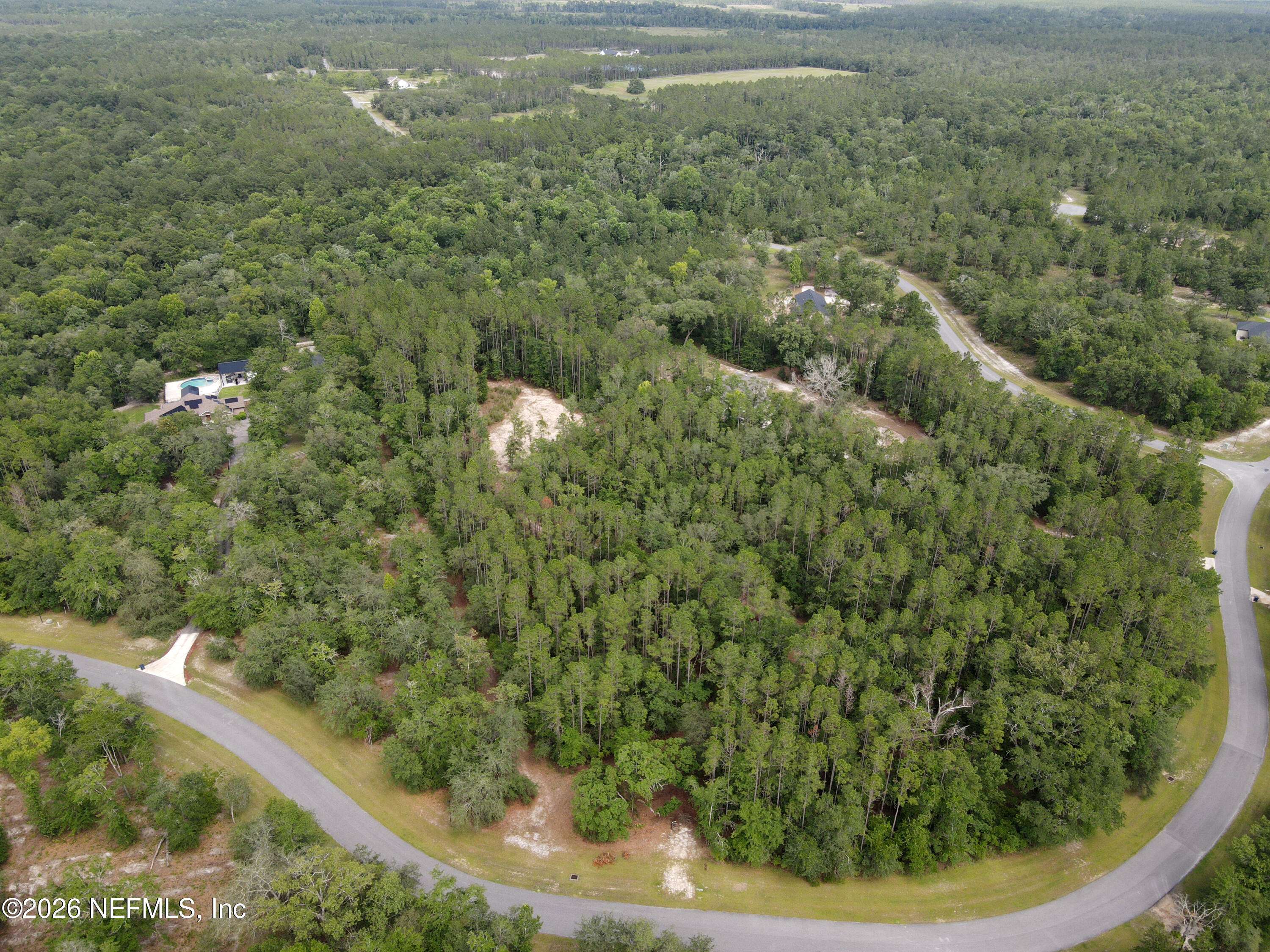 15422 Bullock Bluff Road Bryceville, FL 32009 - Photo 8 of 23 a view of a forest from a window