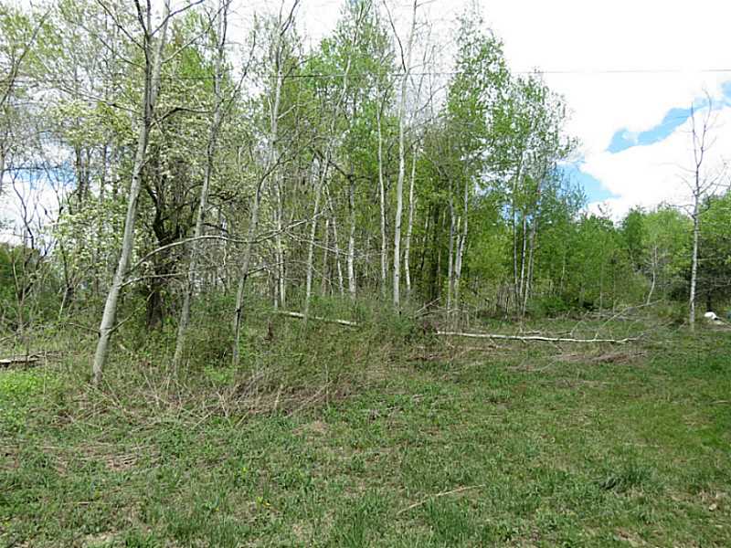 20455 Taylor Stand Road Centerville, PA 16404 - Photo 3 of 3 a view of a green field with lots of bushes