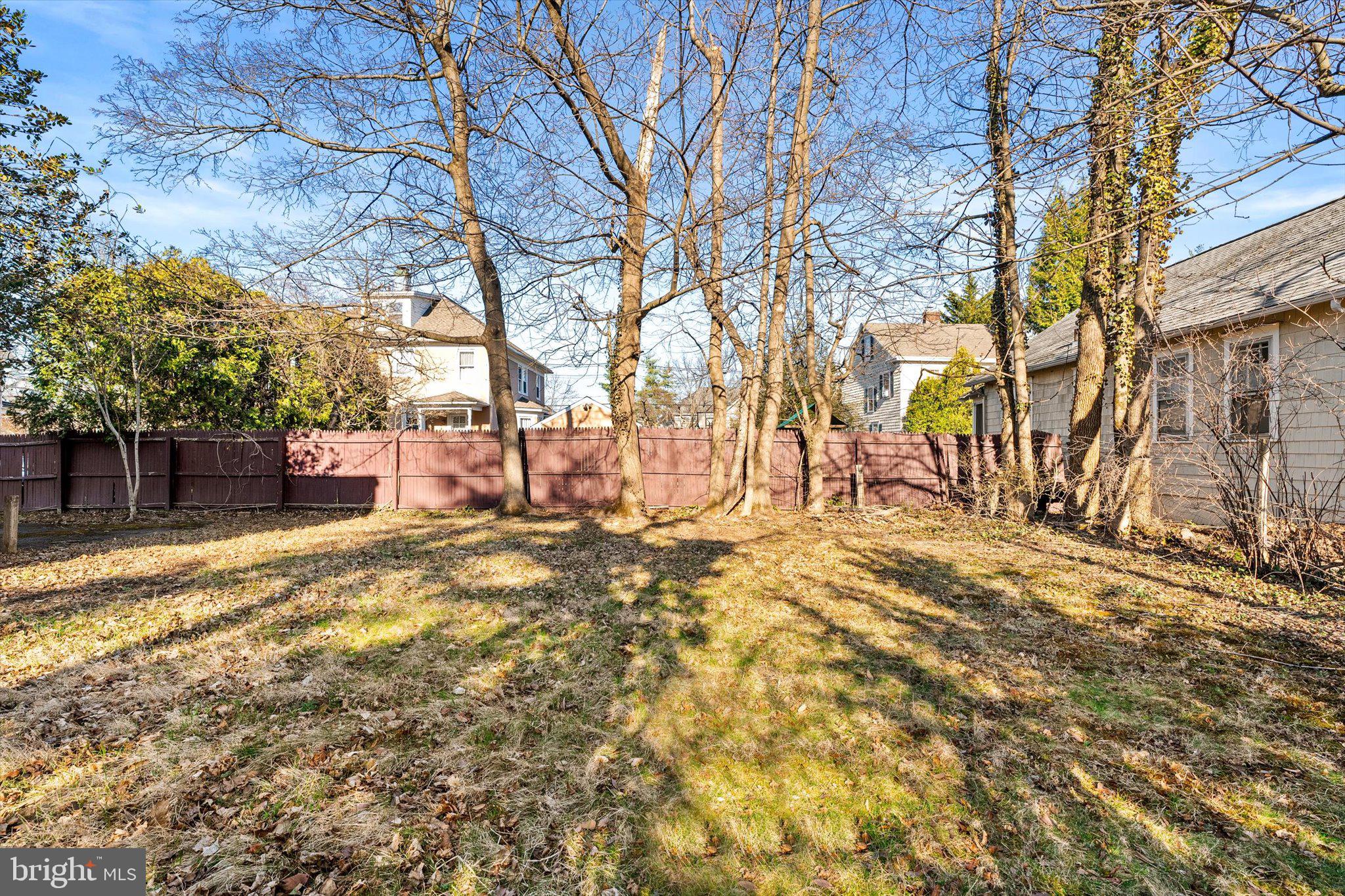 75 Patton Avenue, Unit 1 Princeton, NJ 08540 - Photo 20 of 20 a view of a yard with a tree